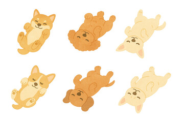 可愛い犬のイラストのセット　お腹をみせて寝る　笑顔