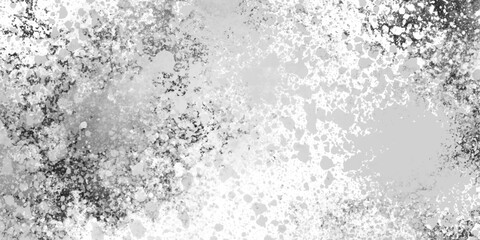 Abstract silver leaf texture high resolution, light gray seamless backdrop with gentle gradient texture, Soft white powder clean nature panoramic view Ideal for seasonal Design.
