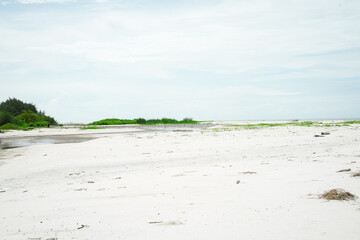 shell laden beach scene with sea water, sand, rocks, and distant shoreline on the horizon, calm