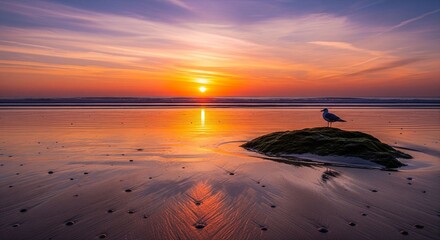 Naklejka premium Gorgeous ocean sunset reflecting on wet sand with seagull perched on mossy rock at low tide, serene coastal vibe