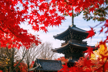 Red maple and yellow ginkgo leaf by Shinnyodo pagoda in autumn, Kyoto