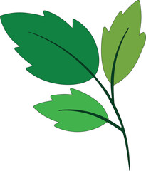 Leaf Vector art illustration