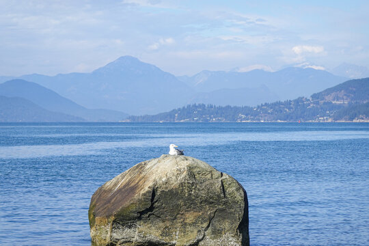 Large shoreline boulder in calm blue water