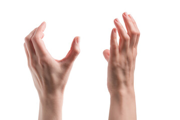 Woman hand isolated on a white background.