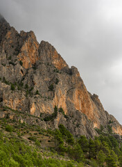 Fototapeta premium Steep rocky cliffs of Puig Campana rise above lush green forest under a dramatic cloudy sky in Spain, perfect for nature, travel, adventure, and landscape themes.