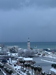 Snow-covered coastal city with a tower, buildings, palm trees, and a seagull flying near the sea in winter.