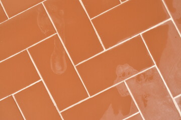 Marcas de pés em piso vermelho molhada, chão com revestimento retangular de casa brasileira