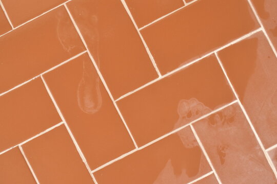 Marcas de pés em piso vermelho molhada, chão com revestimento retangular de casa brasileira
