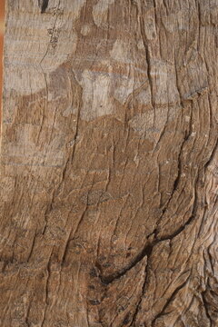 Textura de madeira de fundo para papel de parede r&uacute;stico e vintage, marrom amadeirado