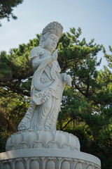 Silent Compassion of the Temple Grounds