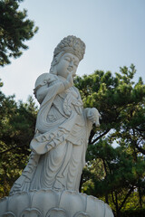 Lotus Deity of South Korea