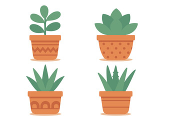 Assortment of popular indoor succulent plants in patterned clay flowerpots