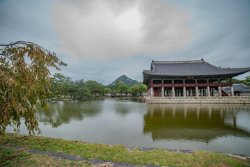 Reflections of Serenity
