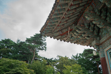 Cheoma's Colorful Curve
