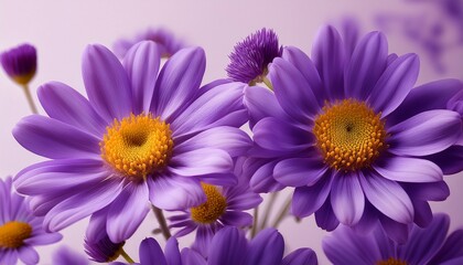 Obraz premium close up of vibrant purple flowers with delicate petals and yellow centers against a pale background creating a vivid floral composition rich in color contrast and texture