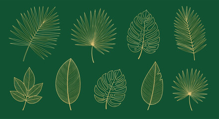 Collection of various tropical palm leaves drawn with gold outlines on a dark green background.