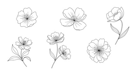 Simple line drawings of various delicate flowers and leaves for artistic design.