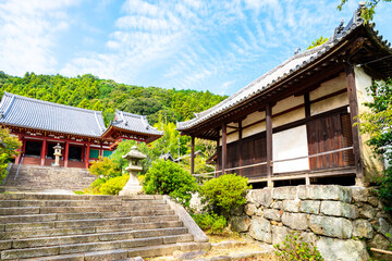 【奈良県】大和郡山市 矢田寺 (2025/10/14 撮影)