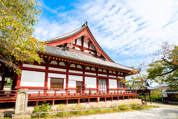 【奈良県】大和郡山市 矢田寺 (2025/10/14 撮影)