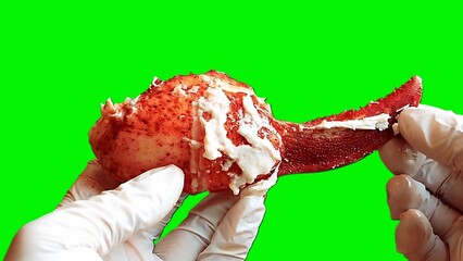 Fresh lobster claw meat displayed on a chroma key green background. A closeup view of juicy cooked...