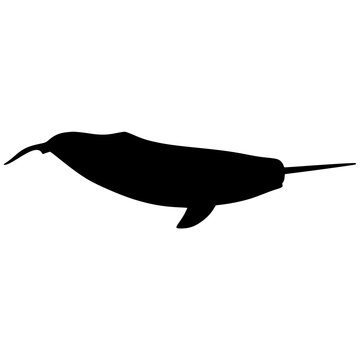Solid black narwhal side swim silhouette, vector logo icon symbol illustration design sign on white background character.