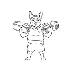 Dog lifting dumbbell isolated on white background