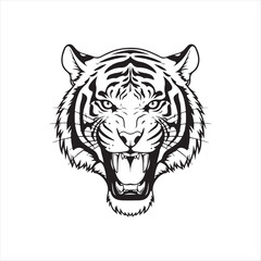 Tiger head roaring isolated on white background