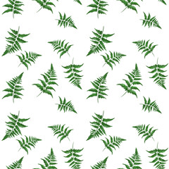 Fototapeta premium Green fern pattern on dark background highlighting nature's beauty and organic design elements for textiles or wallpaper