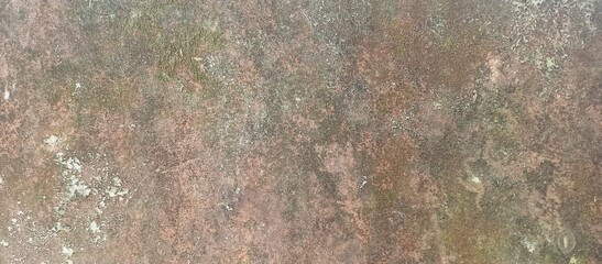 Abstract grungy weathered texture with green and brown moss