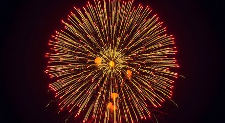 Magnificent, large fireworks explosion centered in the dark night sky, featuring long, symmetrical red and gold light trails in a spherical pattern