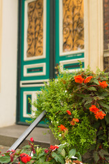 А vibrant teal door with yellow detailing is visible through a lush foreground of bright orange and green flowers. The focus is on the close-up greenery and blooms, creating a soft, inviting