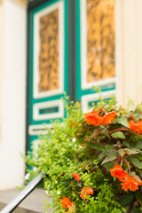 A vibrant teal door with yellow detailing is visible through a lush foreground of bright orange and green flowers. The focus is on the close-up greenery and blooms, creating a soft, inviting