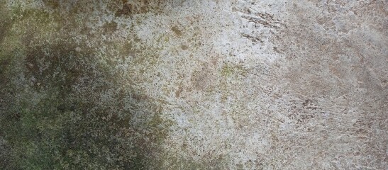 Gritty Earth Toned Concrete Floor or Wall Texture