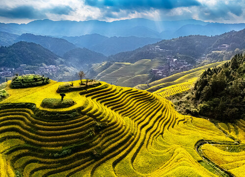 View of Longsheng Rice Terraces in the Guangxi Region, China