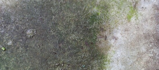 Heavy Moss and Grime on Damp Concrete Surface