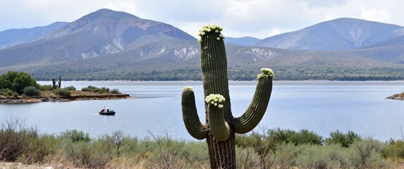 lake tahoe california