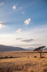 sunset in the desert
