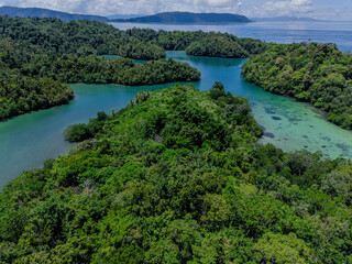 Aerial view of tropical island coastline with lush green forest, coral reefs, and turquoise water in Raja Ampat, Indonesia.  
