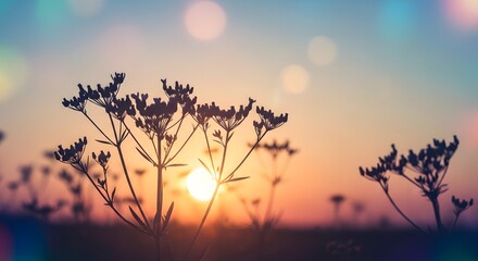Silhouette of wildflowers against a vibrant sunset with bokeh lights in the background sky at dusk