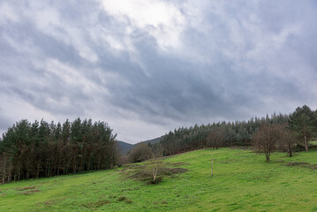 Obraz premium Green landscape under a stormy sky