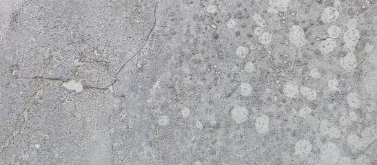 Weathered Gray Concrete Wall with White Lichen Spots