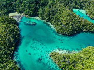 Aerial view of tropical island coastline with lush green forest, coral reefs, and turquoise water in Raja Ampat, Indonesia.  
