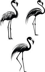 Flamingo legs shaped like elegant calligraphy set silhouette vector