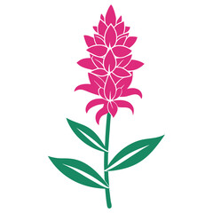 hyssop pink silhouette on white background