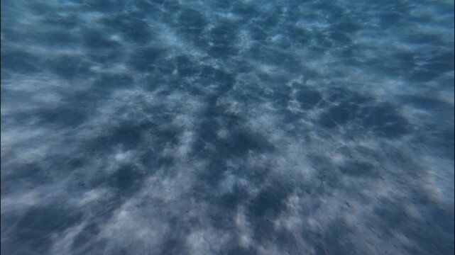 Diving Under Ocean caustics sunlight diving