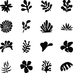 Collection of Botanical Glyph Style Icons 

