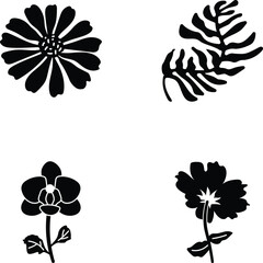 Collection of Botanical Glyph Style Icons 

