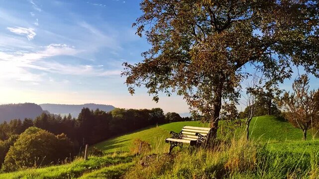 Gem&uuml;tliche Holzbank unter herbstlichem Baum mit grandioser Aussicht &ndash; perfekte Erholung und Entspannung beim Wandern, Natur genie&szlig;en, Ruhe finden, Panorama, Pause, Entschleunigung, Landschaft