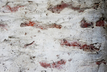 texture of the stone wall 벽 텍스쳐 무늬 배경  디자인 소스