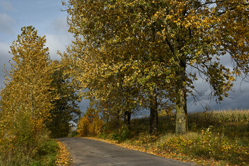 Naklejka premium Autumn landscape of Warmia country road,Poland